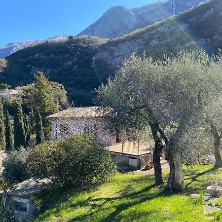 Апартаменты Olive Grove House Мальчезине Экстерьер фото