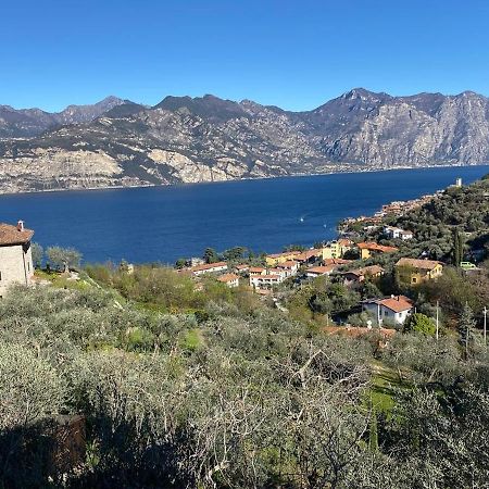 Апартаменты Olive Grove House Мальчезине Экстерьер фото