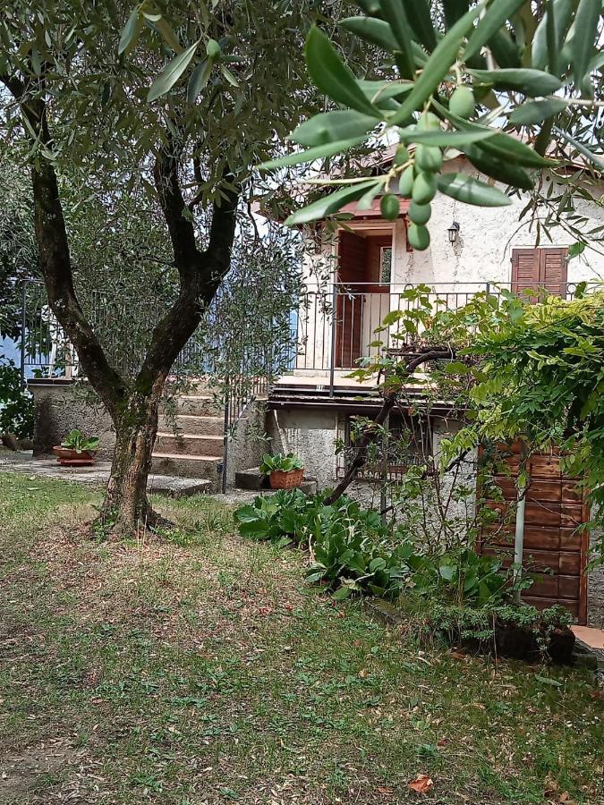 Апартаменты Olive Grove House Мальчезине Экстерьер фото