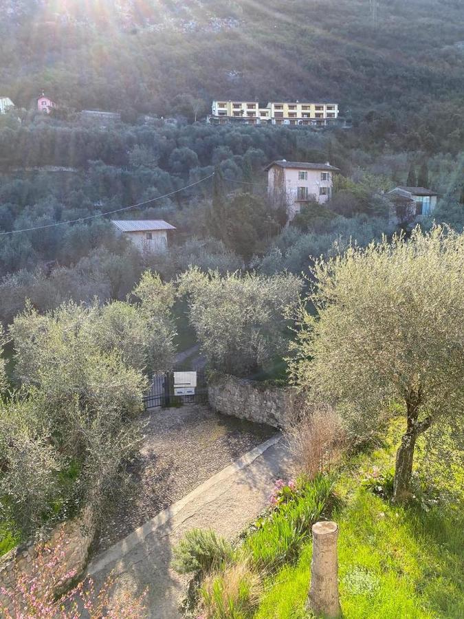 Апартаменты Olive Grove House Мальчезине Экстерьер фото